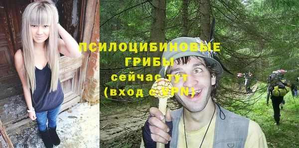 МДМА Няндома