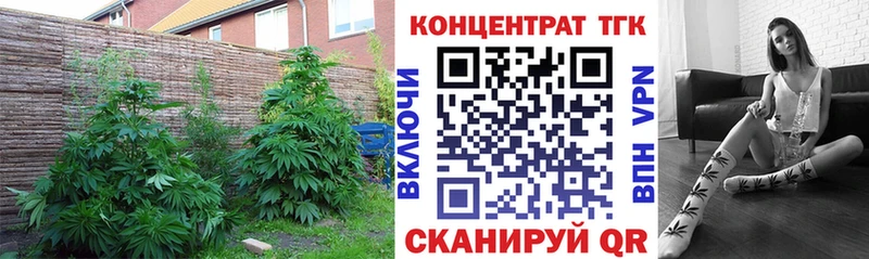 ТГК Wax  как найти наркотики  Заинск 