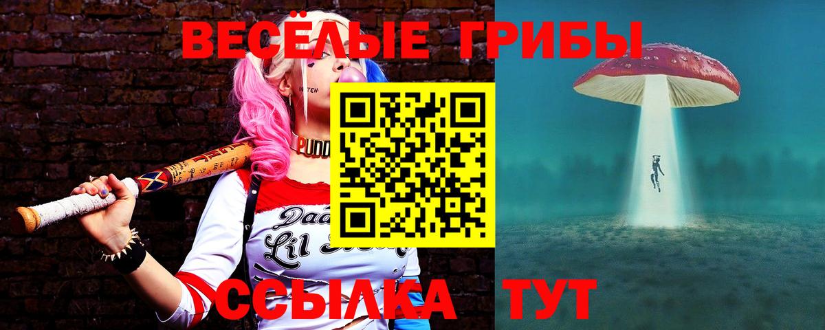 Заинск  Галлюциногенные грибы GOLDEN TEACHER  Вход с VPN 